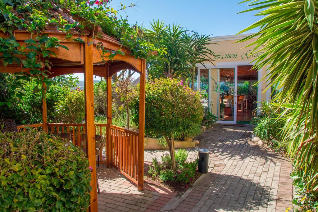 Milkwood Manor On Sea Bed and Breakfast Plettenberg Bay Εξωτερικό φωτογραφία